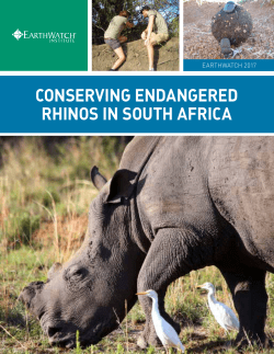 conserving endangered rhinos in south africa