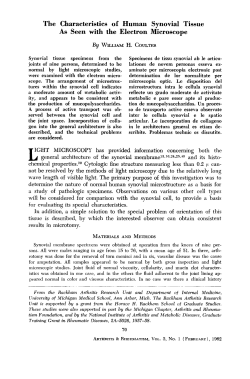 The Characteristics of Human Synovial Tissue As Seen