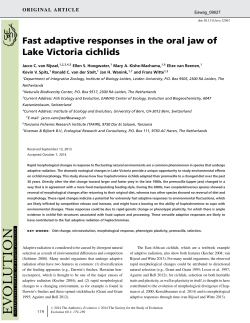Fast adaptive responses in the oral jaw of Lake Victoria