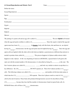 4-2 Sexual Reproduction and Meiosis Part I Name Define the terms