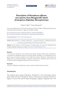 Description of Nicrophorus efferens, new species, from
