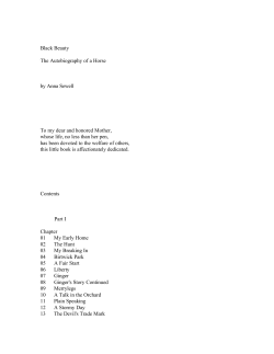 Black Beauty - PinkMonkey.com