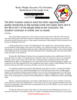 Open Letter from BOJC