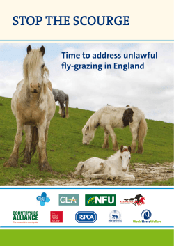 stop the scourge - National Equine Welfare Council