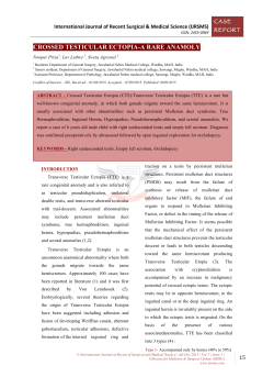 CROSSED TESTICULAR ECTOPIA