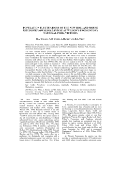 population fluctuations of the new holland mouse pseudomys