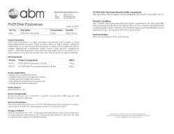 Phi29 DNA Polymerase Data Sheet