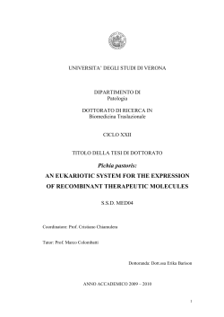 Pichia pastoris - Universit&agrave; degli Studi di Verona