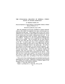 THE ETIOLOGICAL RELATION OF SPIRILLA