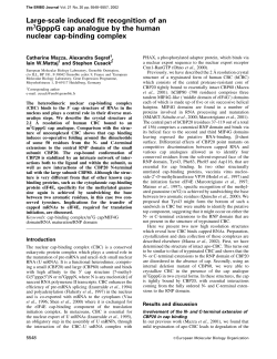 Largescale induced fit recognition of an m7GpppG cap analogue by