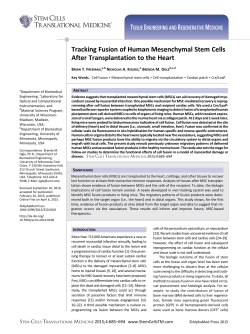 Tracking Fusion of Human Mesenchymal Stem Cells After