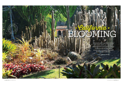 California Blooming - Ganna Walska Lotusland
