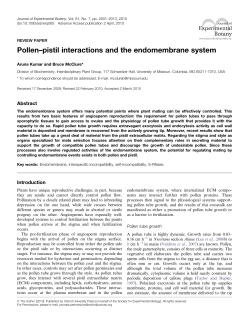 Pollen&ndash;pistil interactions and the endomembrane system