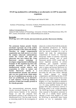 SNAP-tag mediated live cell labeling as an alternative to GFP in