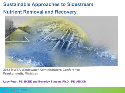 Sustainable Approaches to Sidestream Nutrient Removal and