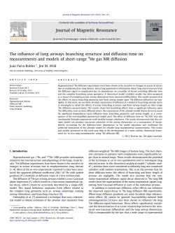 The influence of lung airways branching structure and diffusion time