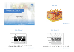 Optical properties tissue - IMT