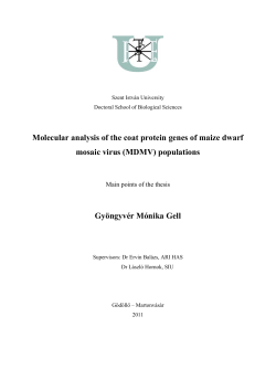 Molecular analysis of the coat protein genes of maize dwarf