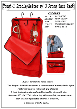 Stable Essentials - The Western Tack Box