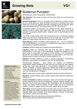 Butternut pumpkin growing note - Department of Primary Industry