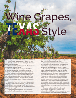 Looking out over his field during a beautiful West Texas sunset
