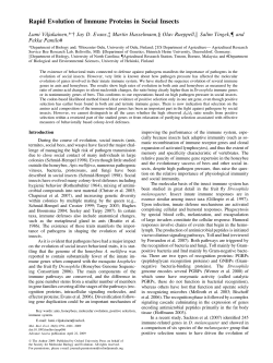 Rapid Evolution of Immune Proteins in Social