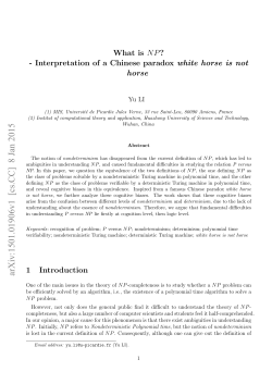 What is NP?-Interpretation of a Chinese paradox white horse is not