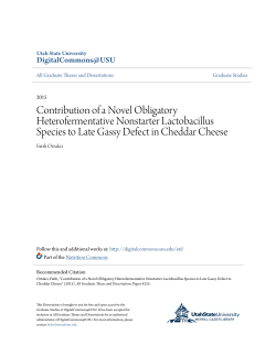 Contribution of a Novel Obligatory Heterofermentative Nonstarter