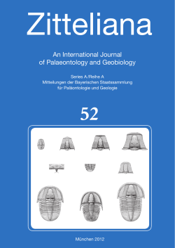 Microfossils with possible affinities to the zygomycetous fungi in a