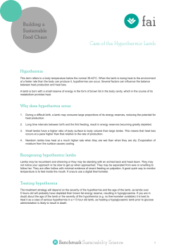 Care of the Hypothermic Lamb