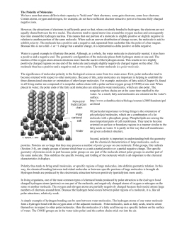 Polarity II