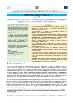 - Food Security Cluster