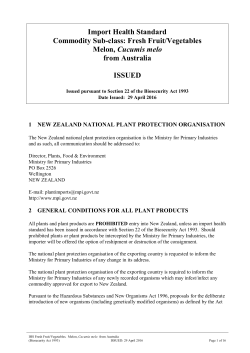 Melon (Cucumis melo) from Australia