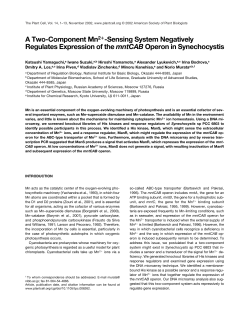 A Two-Component Mn2 -Sensing System