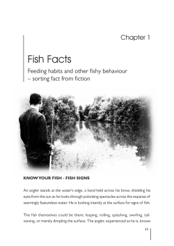 Fish Facts - Calm Productions