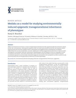 Medaka as a model for studying environmentally induced epigenetic