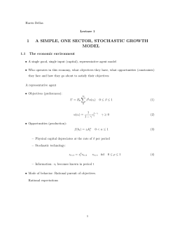 1 A SIMPLE, ONE SECTOR, STOCHASTIC GROWTH MODEL
