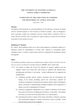 Purpose Definition of `Tumour` Policy