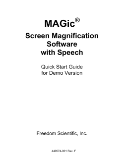 Screen Magnification Software with Speech