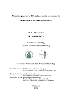 Claudin expression in different pancreatic cancers and its