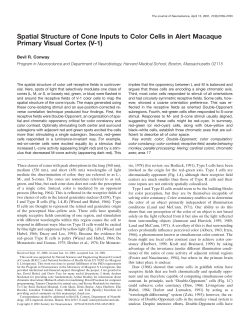 Spatial Structure of Cone Inputs to Color Cells in Alert Macaque