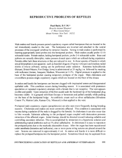 1995 - reproductive problems of reptiles