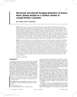 Nocturnal and diurnal foraging behaviour of brown bears (Ursus