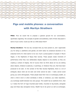 Pigs and mobile phones: a conversation with - IFCH