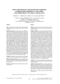 soils, rootstocks and grapevine varieties
