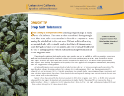 Crop Salt Tolerance