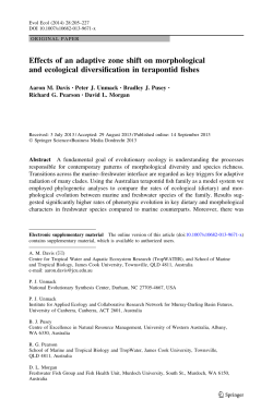 Effects of an adaptive zone shift on morphological