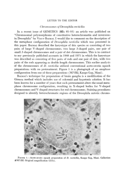 Chromosomal polymo
