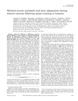 Skeletal muscle metabolic and ionic adaptations during intense