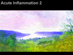 Acute Inflammation 2